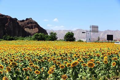 Steam上线VR游戏节活动 多款VR游戏打折促销